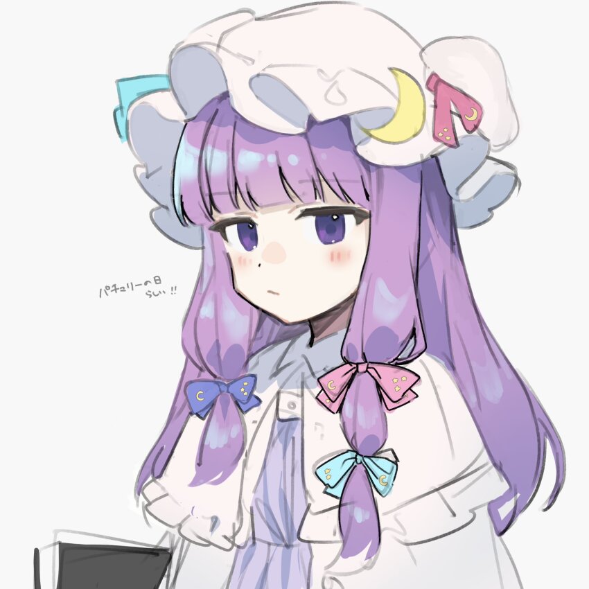 Patchouli Knowledge (Touhou) Rule 34 Image