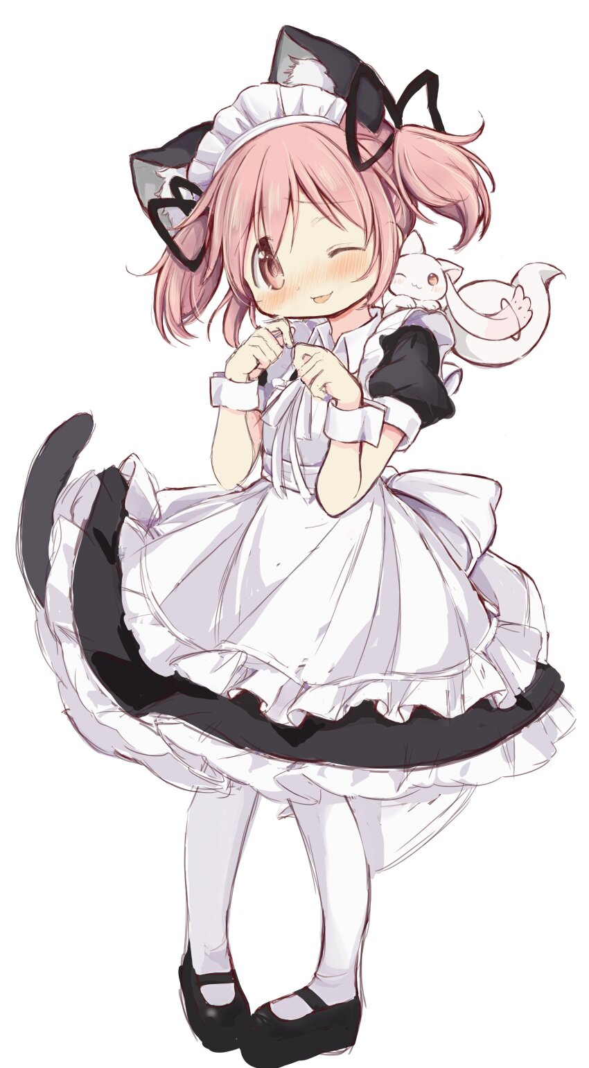Kaname Madoka (Kyubey) Rule 34 Image