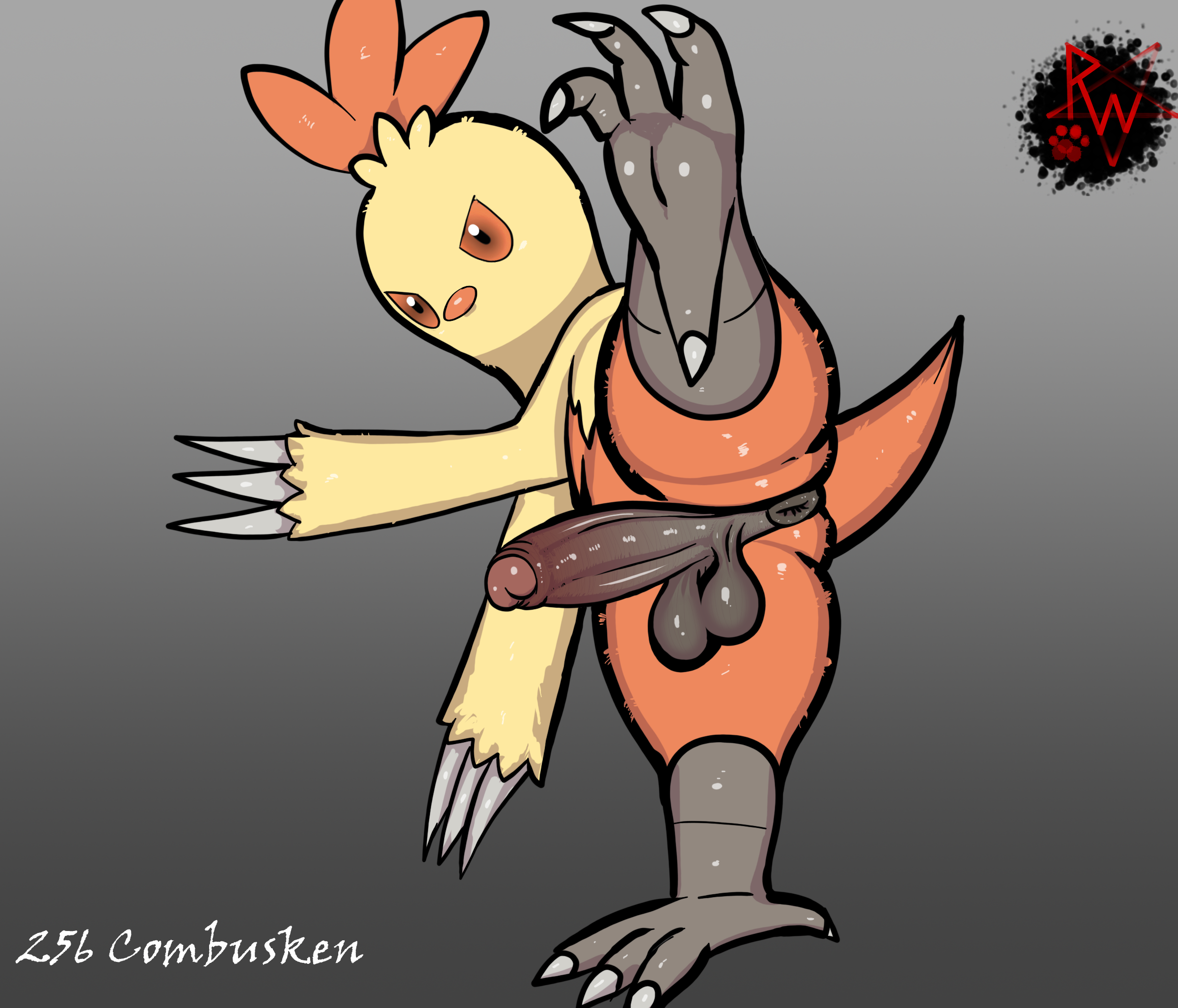 Combusken (Nintendo) Rule 34 Image