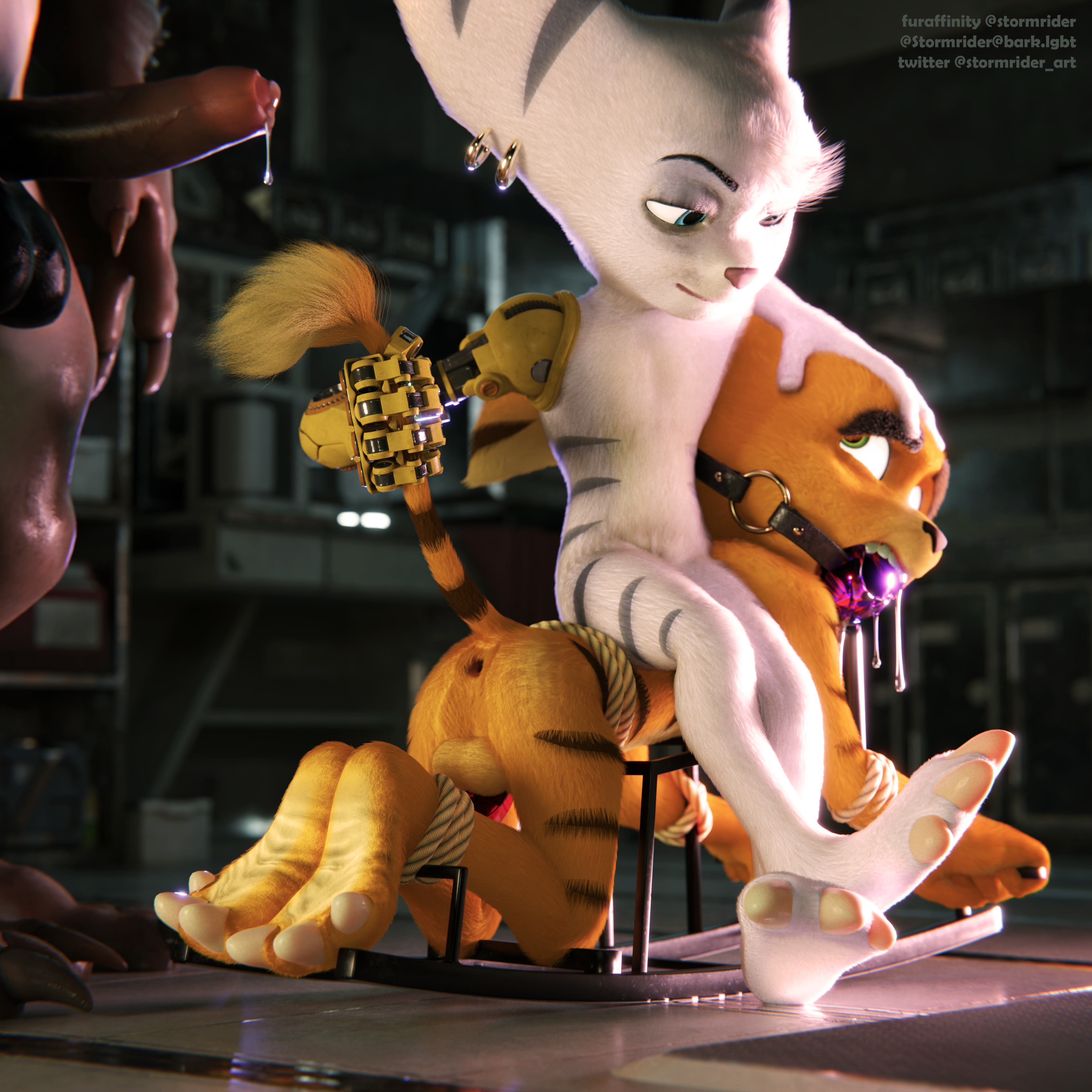 Ratchet (Ratchet And Clank) Rule 34 Image
