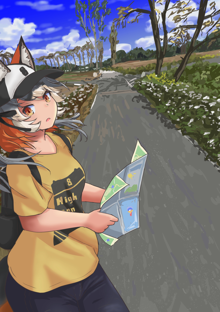 Island Fox (Kemono Friends) Rule 34 Image