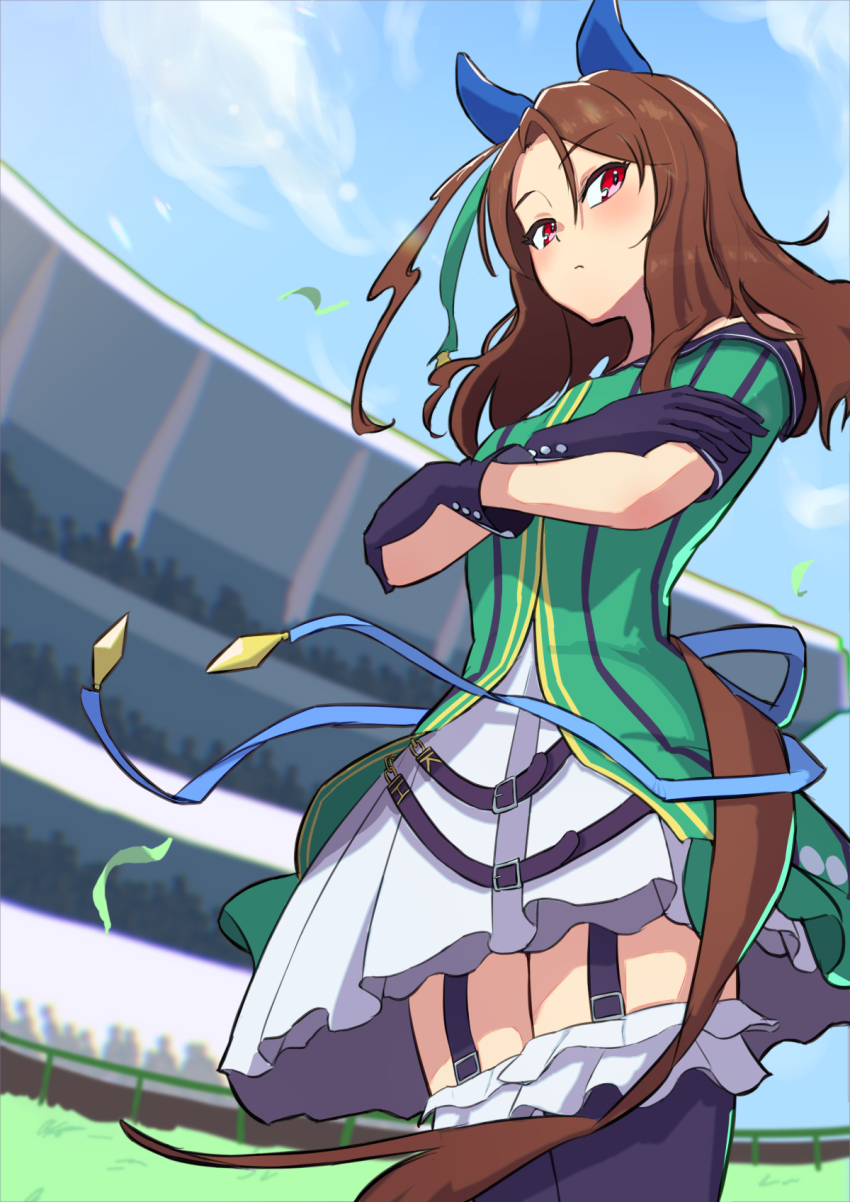 King Halo (Umamusume) Rule 34 Image