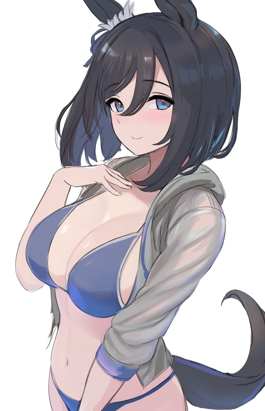 Eishin Flash (Umamusume) Rule 34 Image