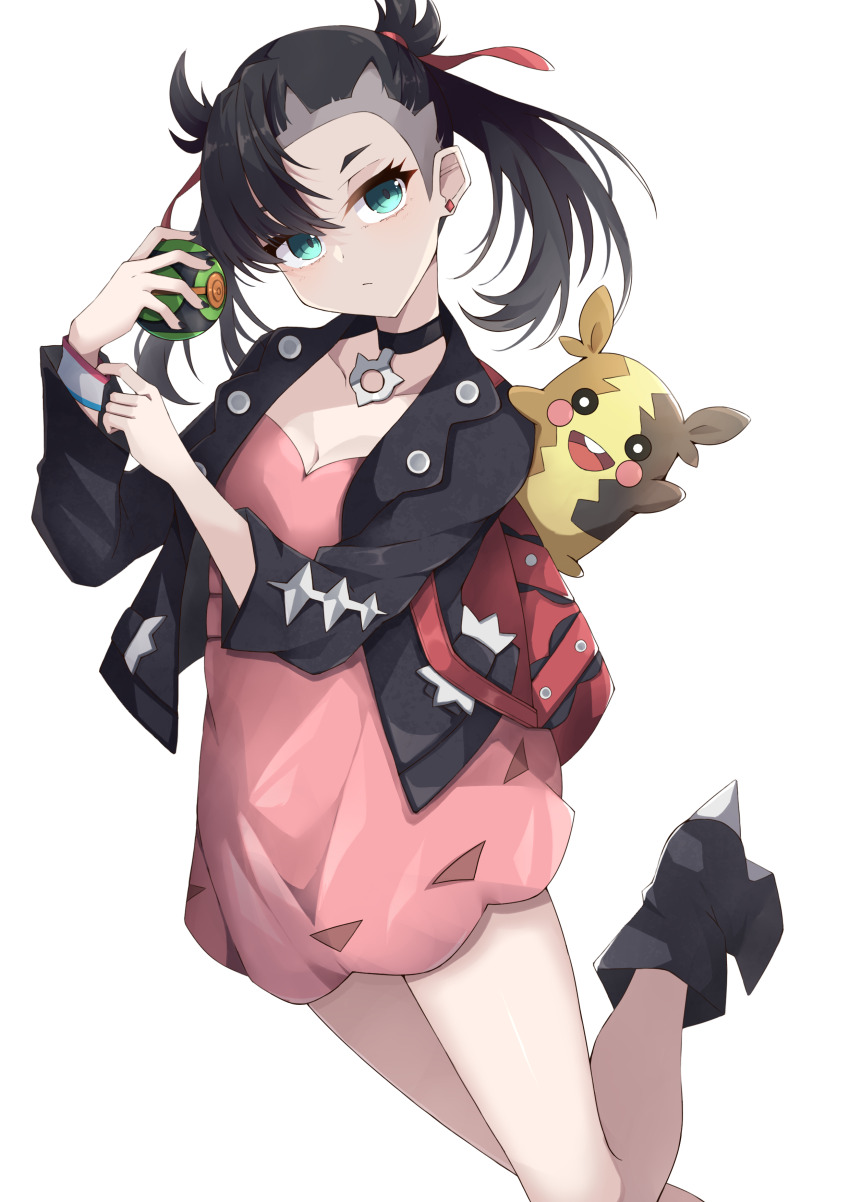 Gen 8 Pokemon (Nintendo) Rule 34 Image