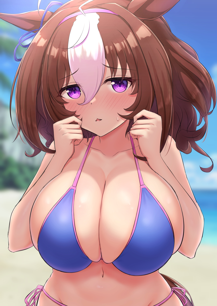Meisho Doto (Umamusume) Rule 34 Image