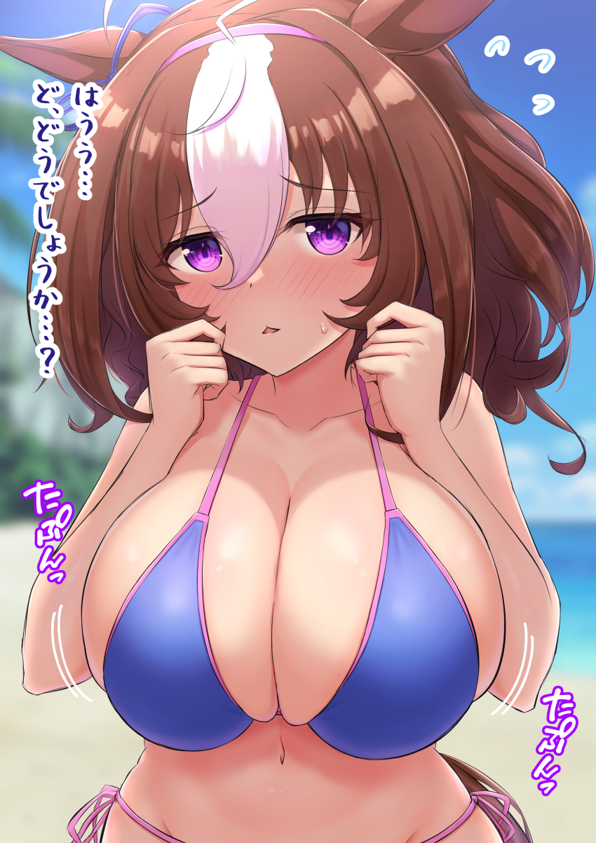 Meisho Doto (Umamusume) Rule 34 Image