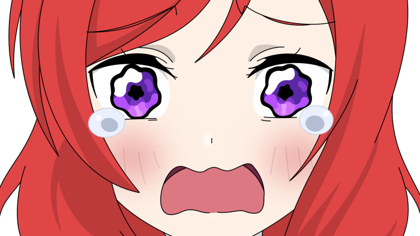 Nishikino Maki (Love Live!) Rule 34 Image