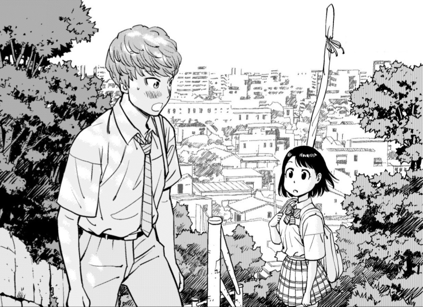 Kimi No Na Wa. Rule 34 Image