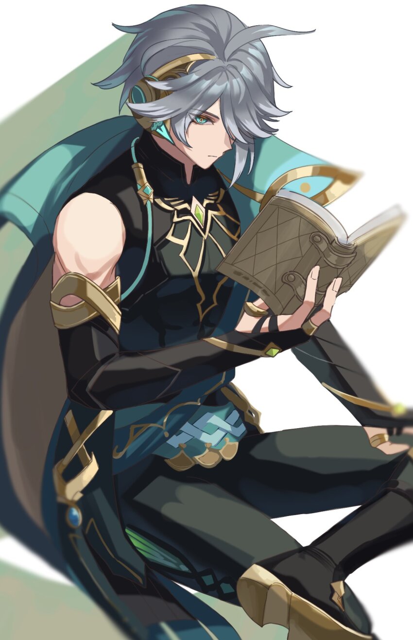 Alhaitham (Genshin Impact) Rule 34 Image