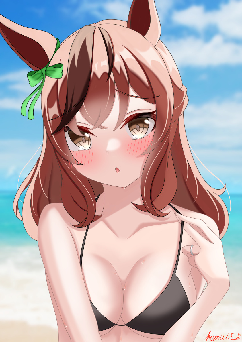 Nice Nature (Umamusume) Rule 34 Image