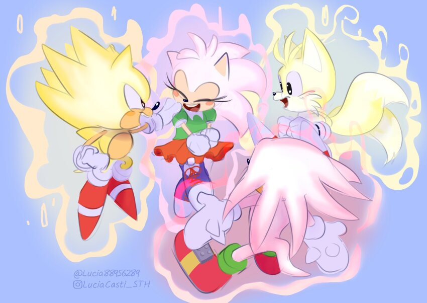 Amy Rose (Sonic (Series)) Rule 34 Image