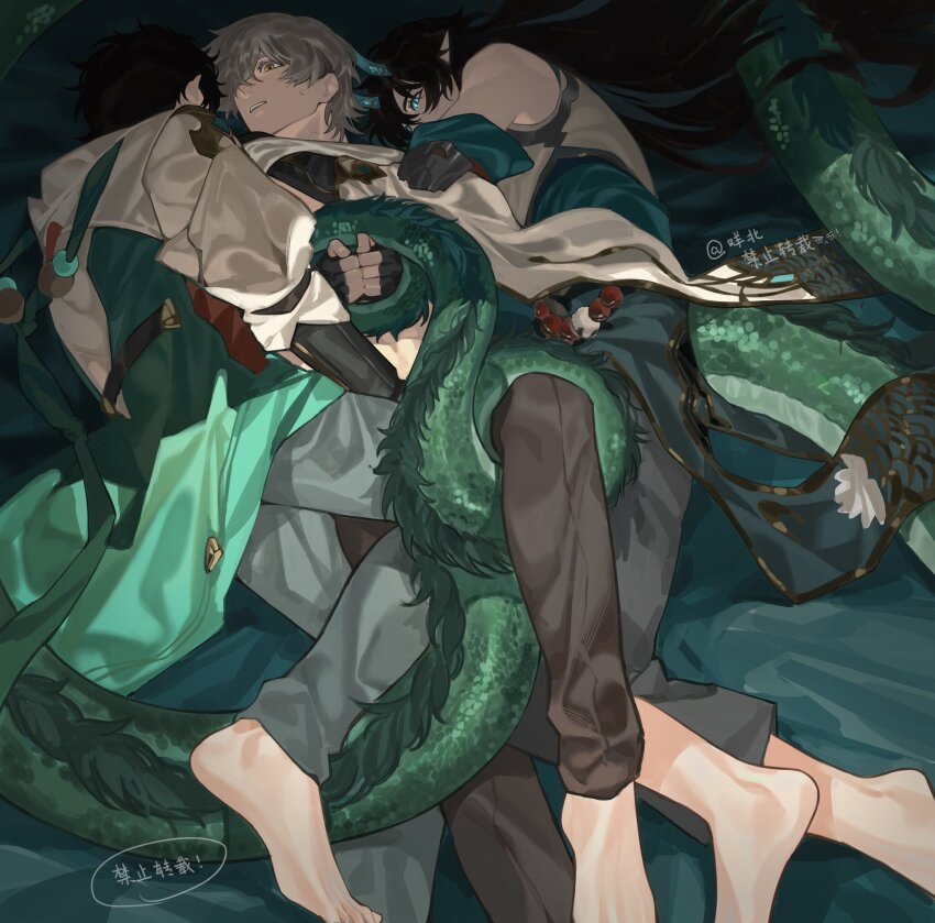 Caelus (Honkai: Star Rail) Rule 34 Image
