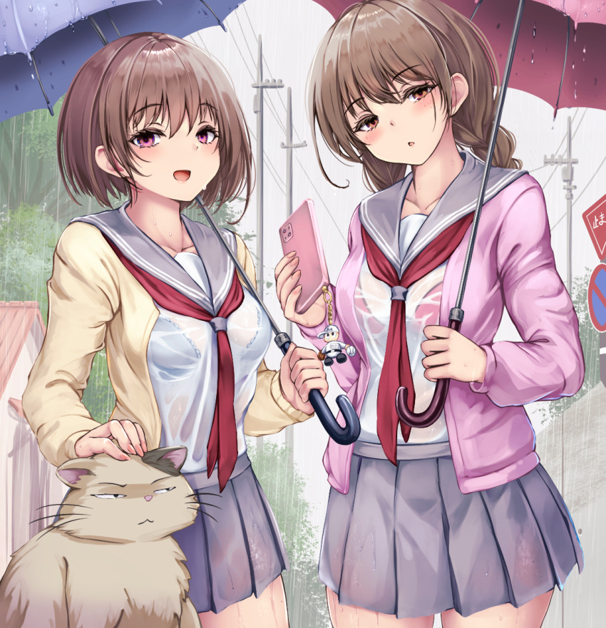 Mimi Wo Sumaseba Rule 34 Image
