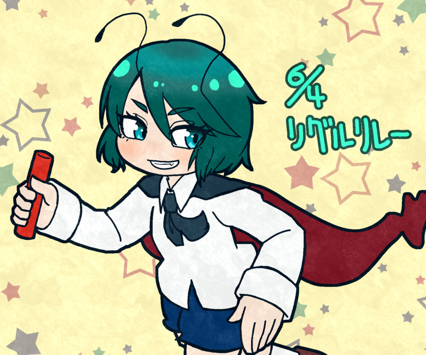 Wriggle Nightbug (Touhou) Rule 34 Image