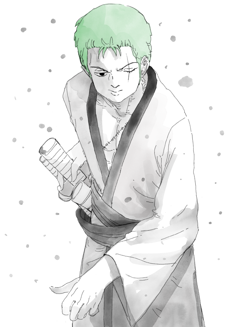 Roronoa Zoro (One Piece) Rule 34 Image