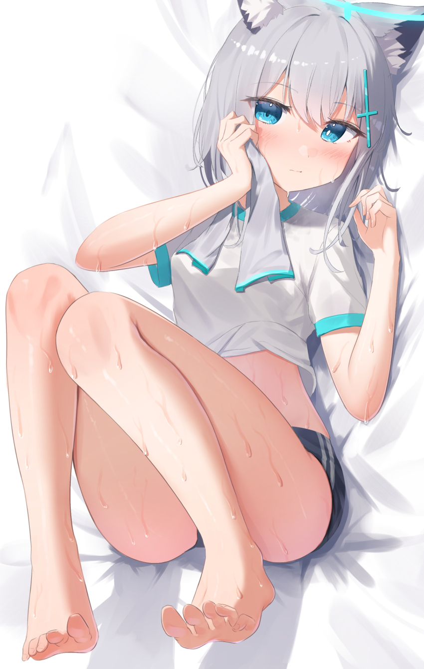 Shiroko (Blue Archive) Rule 34 Image