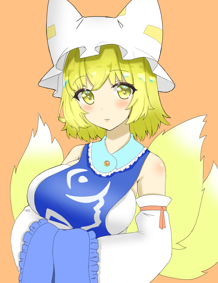 Yakumo Ran (Touhou) Rule 34 Image