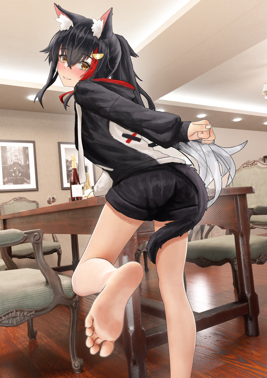 Ookami Mio (Hololive) Rule 34 Image