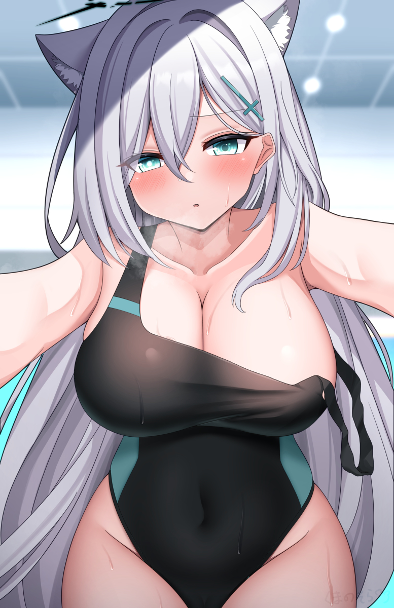 Shiroko (Blue Archive) Rule 34 Image