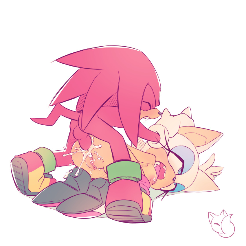Knuckles The Echidna (Sonic (Series)) Rule 34 Image