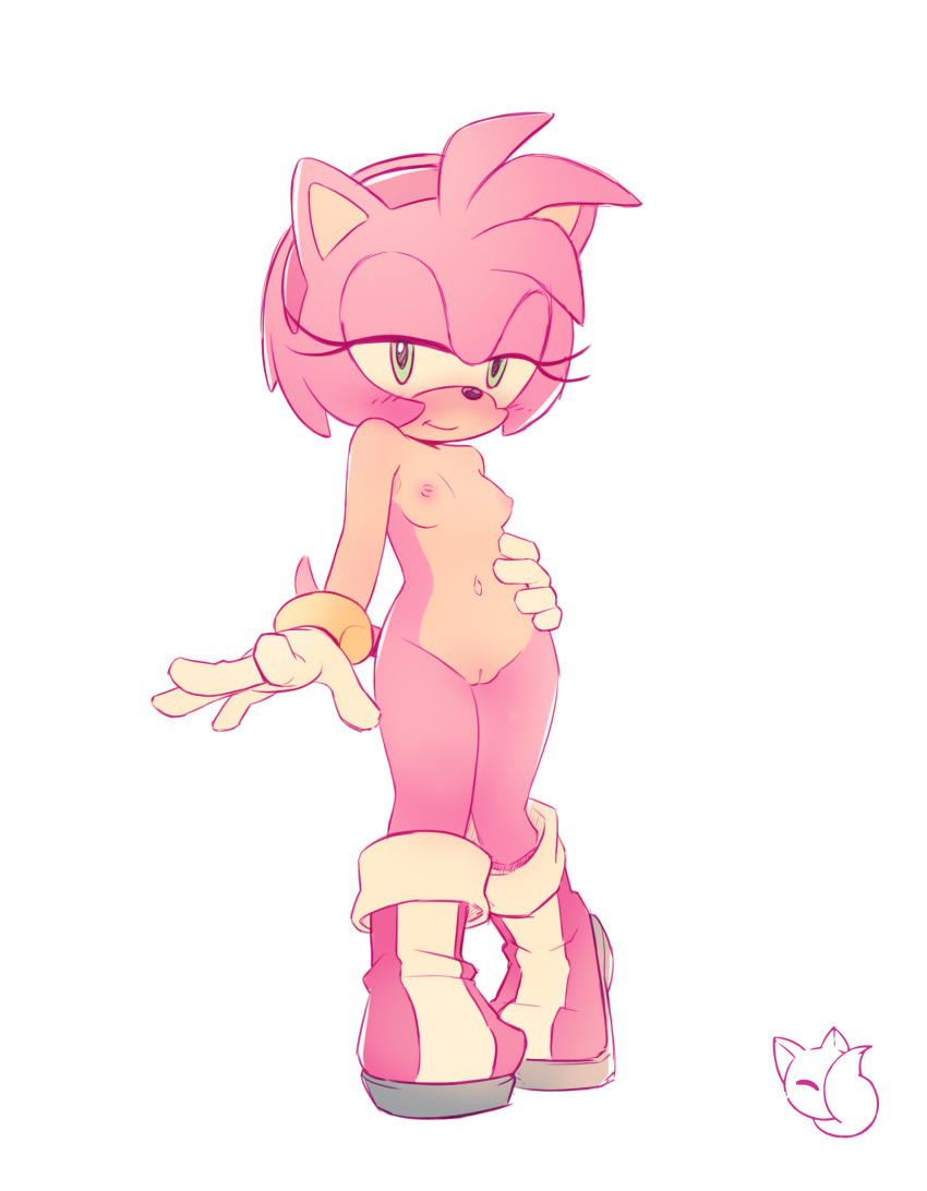 Amy Rose (Sonic (Series)) Rule 34 Image