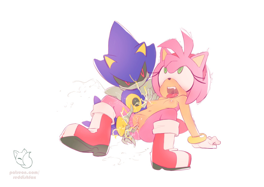 Amy Rose (Sonic (Series)) Rule 34 Image