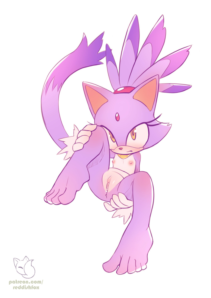 Blaze The Cat (Sonic (Series)) Rule 34 Image