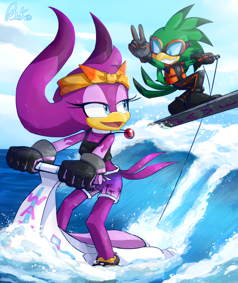 Jet The Hawk (Sonic (Series)) Rule 34 Image