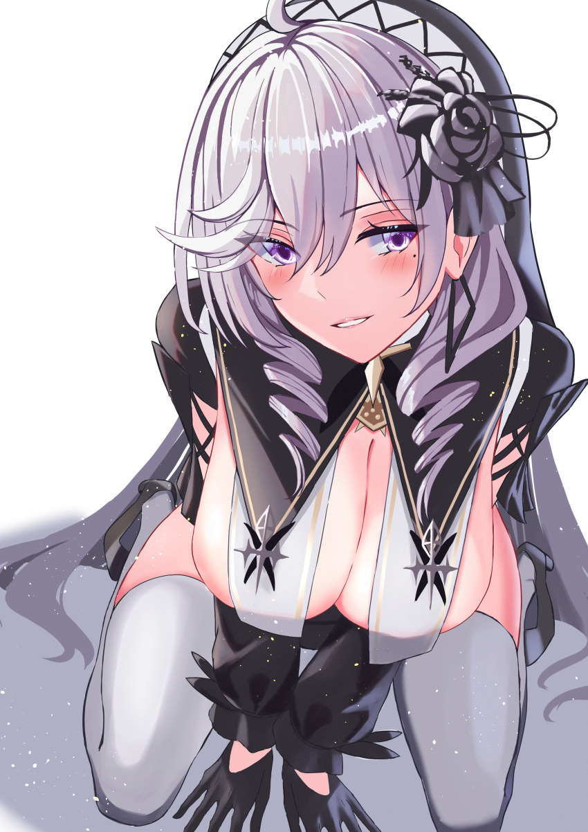 Algerie (Azur Lane) Rule 34 Image