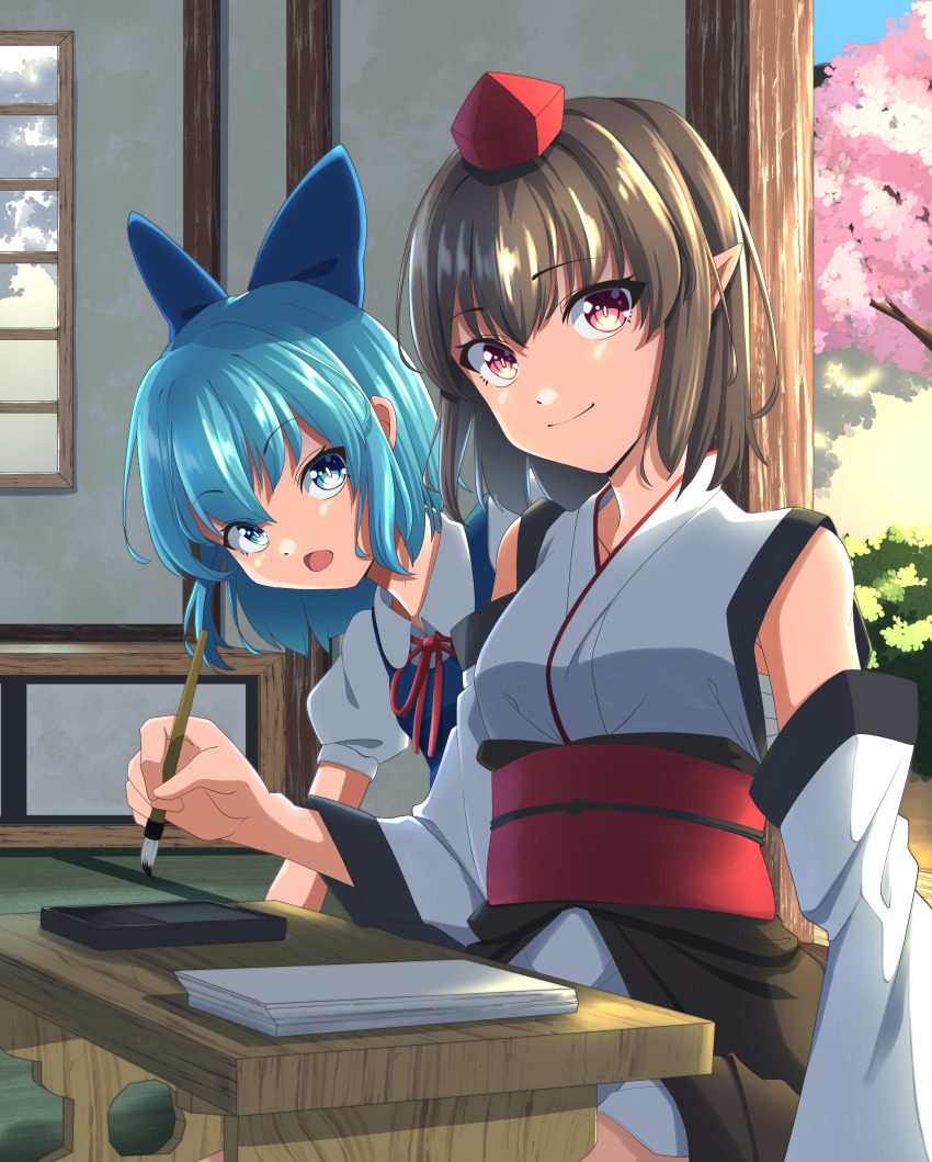 Cirno (Touhou) Rule 34 Image