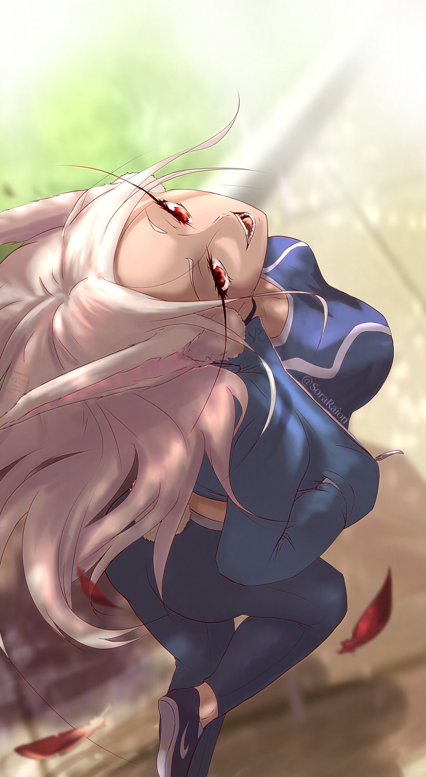 Cammy White (Boku No Hero Academia) Rule 34 Image