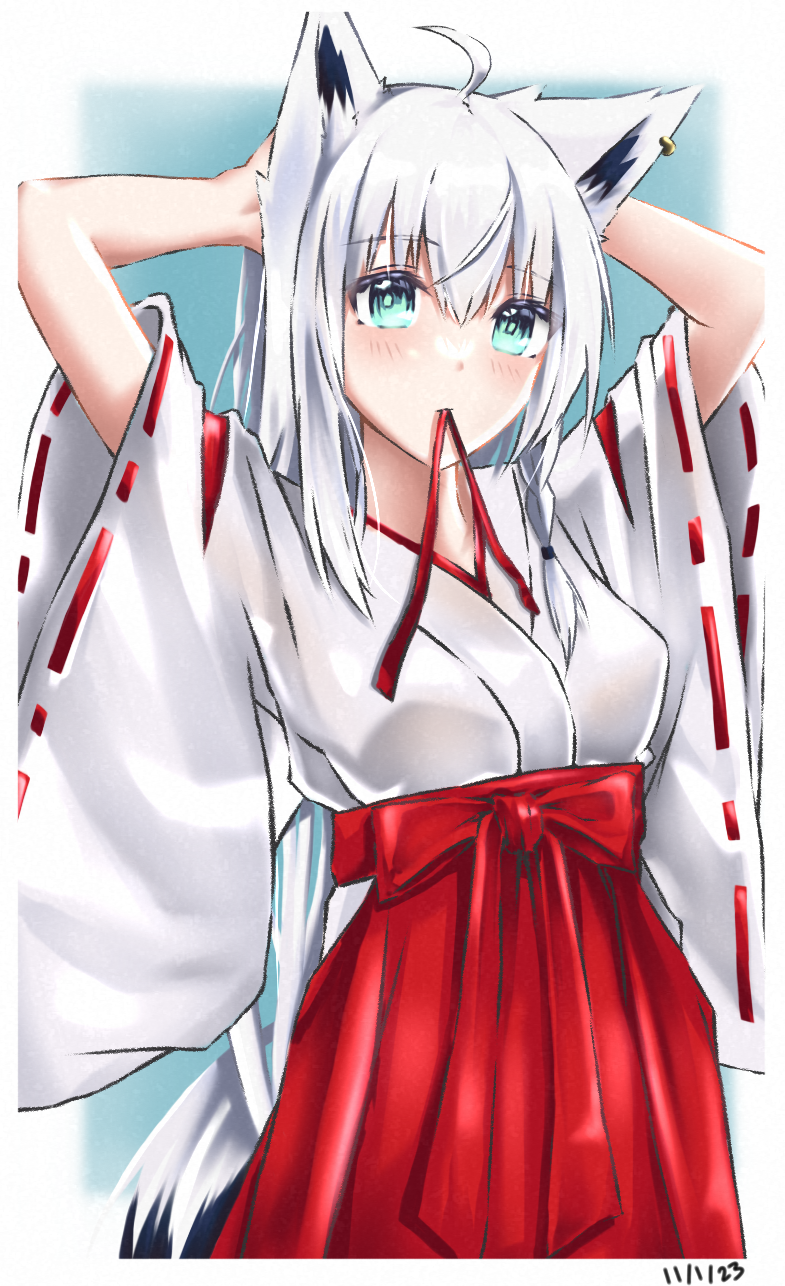 Shirakami Fubuki (Hololive) Rule 34 Image
