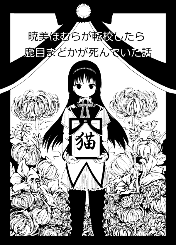 Akemi Homura (Mahou Shoujo Madoka Magica) Rule 34 Image
