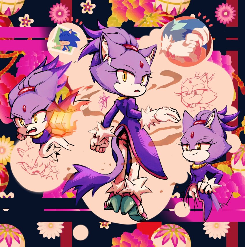 Blaze The Cat (Sonic (Series)) Rule 34 Image