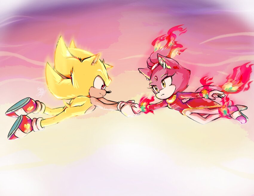 Blaze The Cat (Sonic (Series)) Rule 34 Image