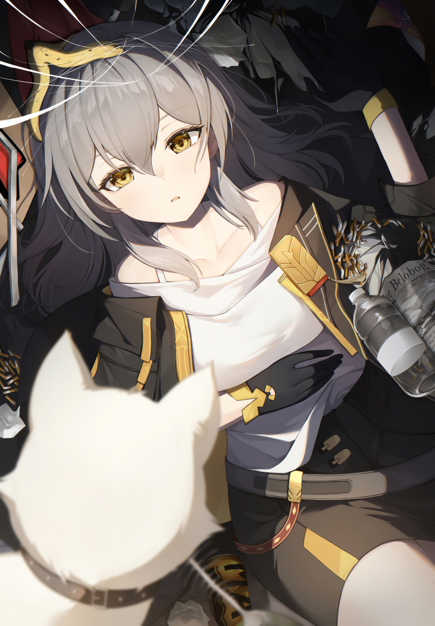 Stelle (Honkai: Star Rail) Rule 34 Image