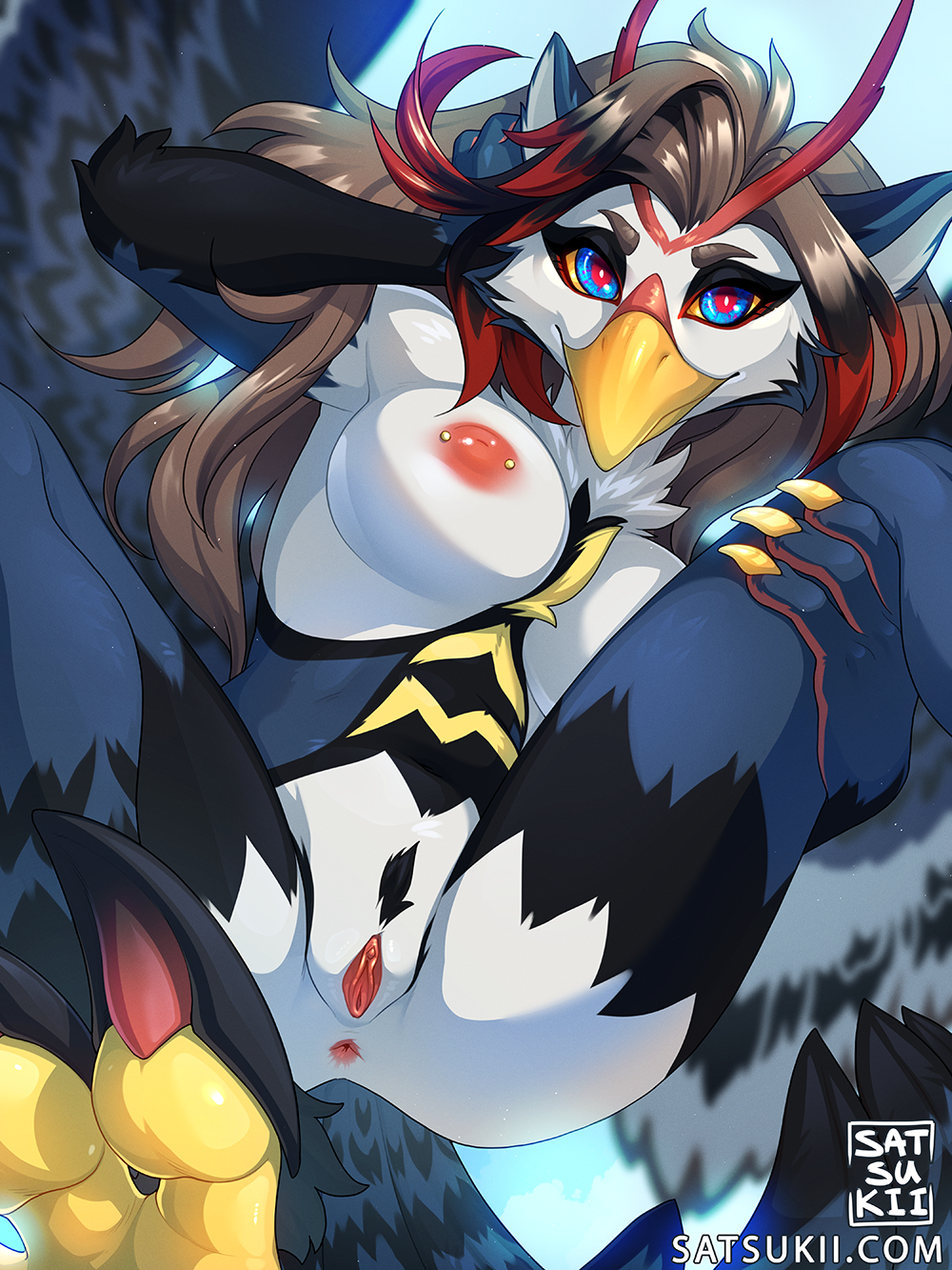 Blaziken (Nintendo) Rule 34 Image