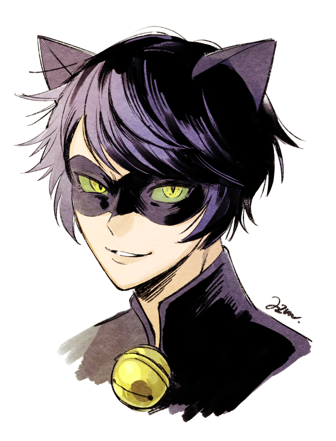 Chat Noir (Miraculous Ladybug) Rule 34 Image