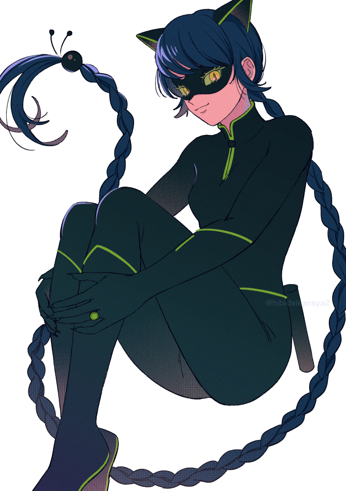 Chat Noir (Miraculous Ladybug) Rule 34 Image