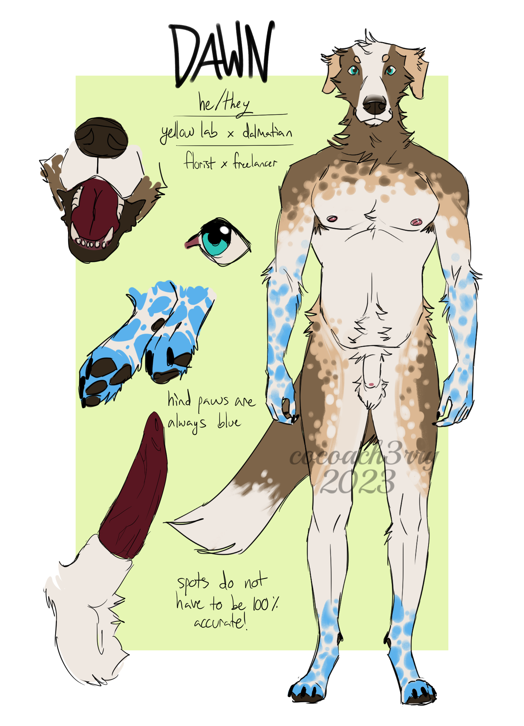 Dawn (Cocoach3rry) Rule 34 Image