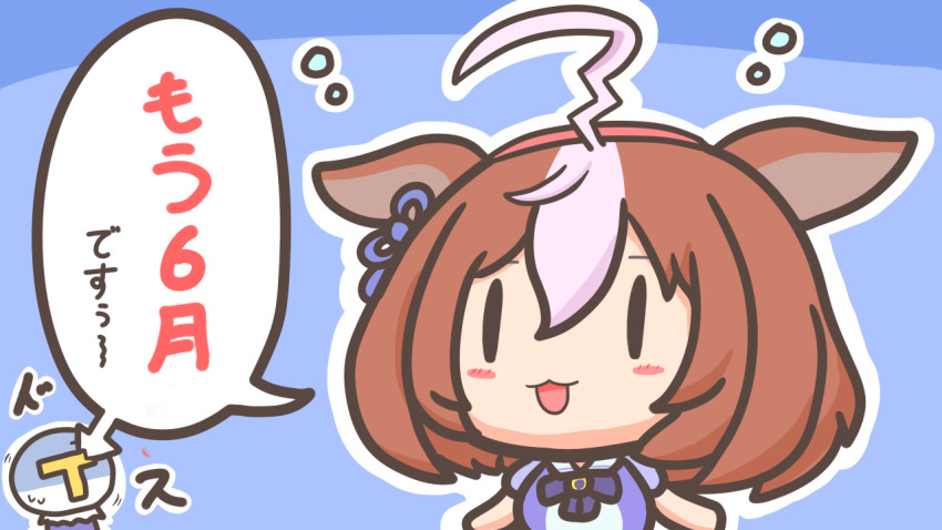 Meisho Doto (Umamusume) Rule 34 Image