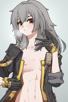 Honkai (Series) Rule 34 Image