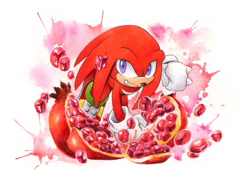 Knuckles The Echidna (Sonic (Series)) Rule 34 Image