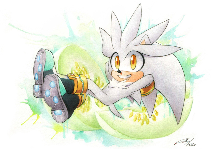 Silver The Hedgehog (Sonic (Series)) Rule 34 Image
