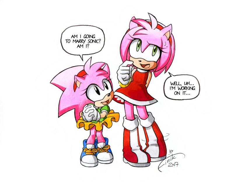Amy Rose (Sonic (Series)) Rule 34 Image