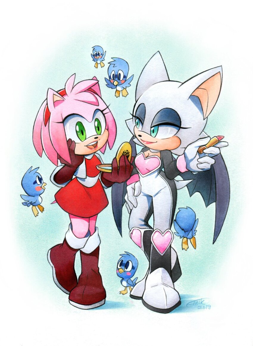Amy Rose (Sonic (Series)) Rule 34 Image