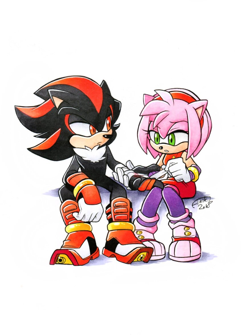 Amy Rose (Sonic (Series)) Rule 34 Image
