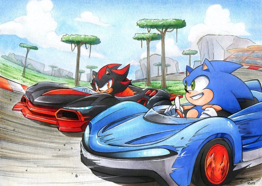 Shadow The Hedgehog (Sonic (Series)) Rule 34 Image