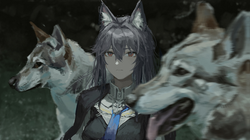 Texas (Arknights) Rule 34 Image