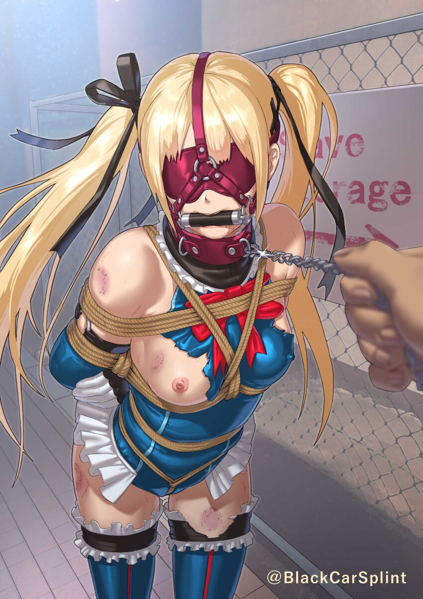 Marie Rose (Dead Or Alive) Rule 34 Image